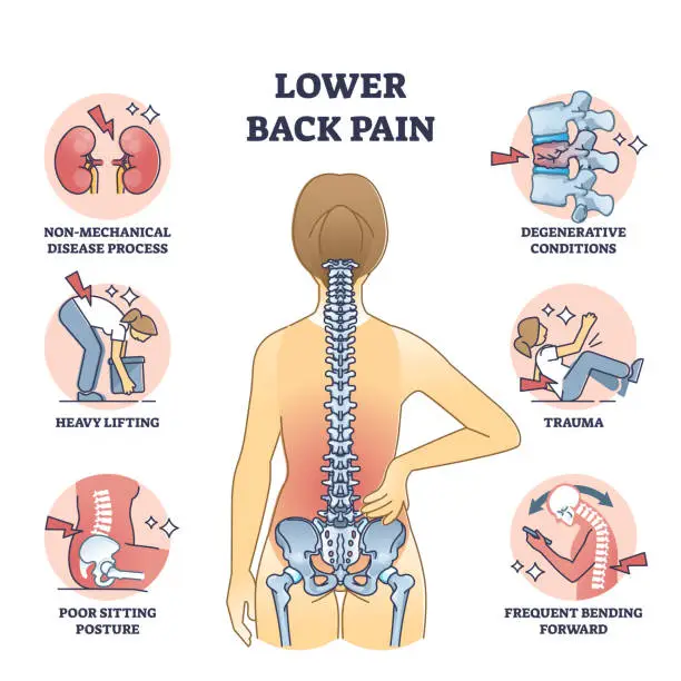 Free Full Body Back Pain Diagram Illustrations Vectors Templates free-full-body-back-pain-diagram-illustrations-vectors-templates