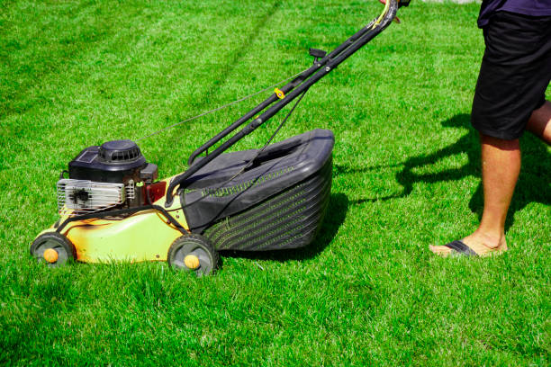 istock The man is working in the garden. Mowing grass with a lawn mower. 2077021249
