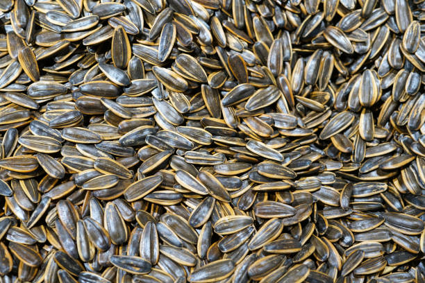 istock close up on white sunflower seeds as food background 2077024894