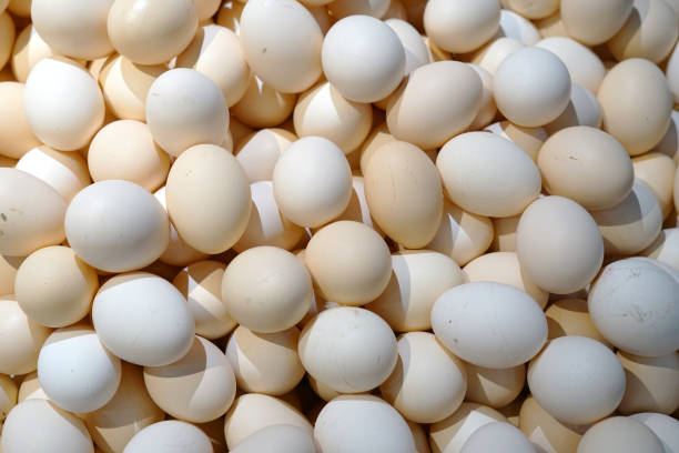 istock top view of chicken eggs as food background 2077026970