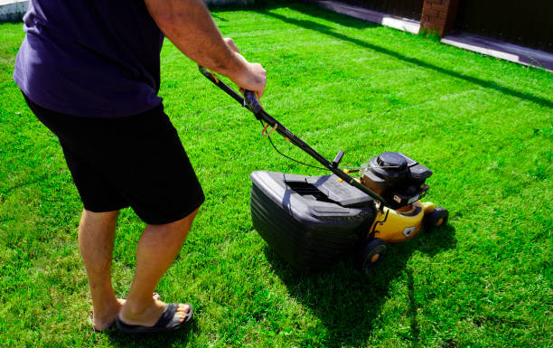 istock The man is working in the garden. Mowing grass with a lawn mower. 2077029053