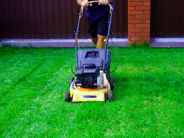 istock The man is working in the garden. Mowing grass with a lawn mower. 2077029565