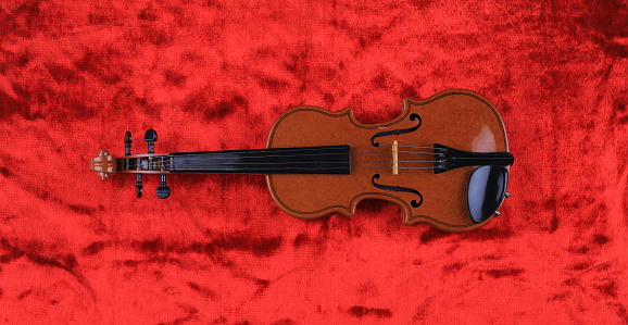 violin isolated on red velvet