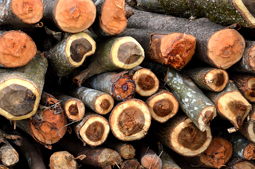 stacks of logs background