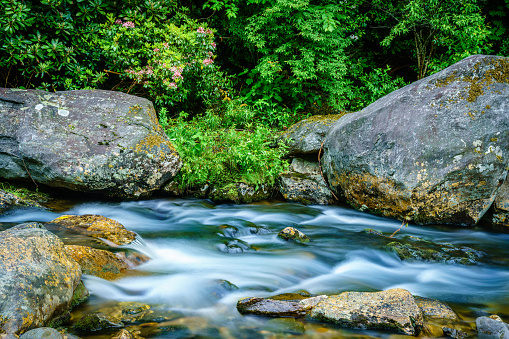 Long exposure image of a small creek in Maggie Valery, North Carolina