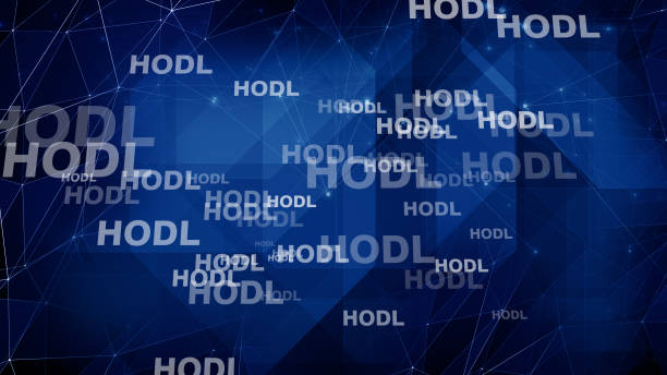 istock Crypto hodl text and connected lines hold strategy in cryptocurrency market 2077093577