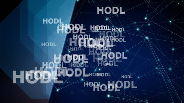 istock Bitcoin hodl text background understanding hold strategy in crypto market for holding virtual assets and maximizing income and wealth 2077095132