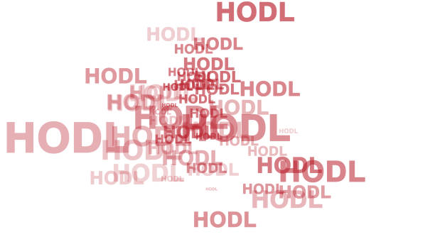 Hold strategy with hodl text on white background crypto holder approach to secure wallet and digital investment in volatile crypto market
