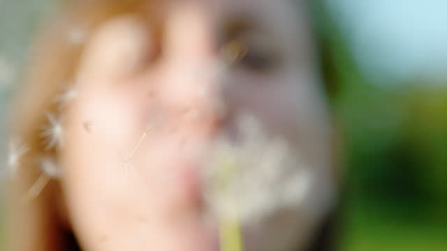 CLOSE UP: Soft focus of a woman blowing on a dandelion, seeds scattering in air.