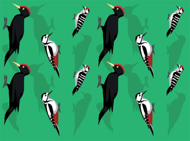 Bird Black Spotted Woodpecker Cute Seamless Wallpaper Background Animal Wallpaper EPS10 File Format dendrocopos major stock illustrations