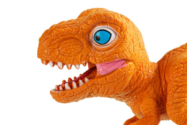 istock A plastic toy dinosaur isolated on a white background 2077136493