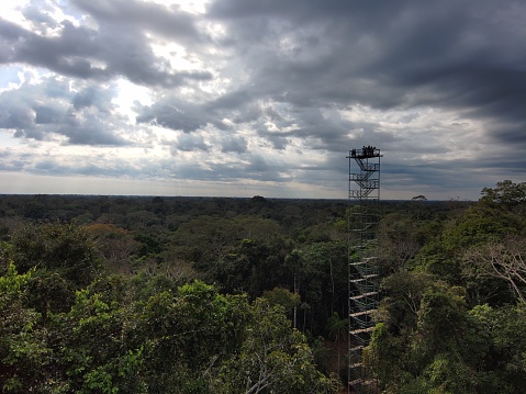 A birding tower overlooks the Peruvian Amazon Rainforest.