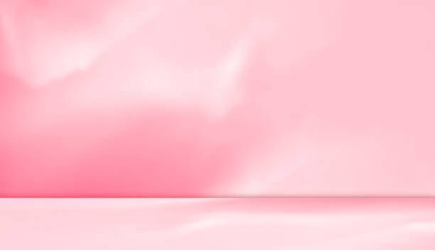 Pink Background Studio Room Shadow Light Abstract Flower Spring Summer Table Product Cosmetic Beauty Podium Stage Soft Gradient Backdrop Floor Wall Epty Display Presentation Scene Overlay Leaves Desk.