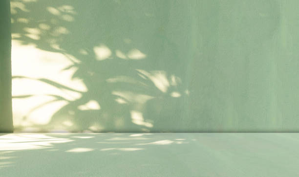 istock Green Bg Kitchen Background Floor Backdrop Empty Counter Podium Environment Shadow Leaves Plant Minimal Desk Studio Room Wall Pattern Abstract 3d Summer spring Table Space Marble Mockup Presentation. 2077180650