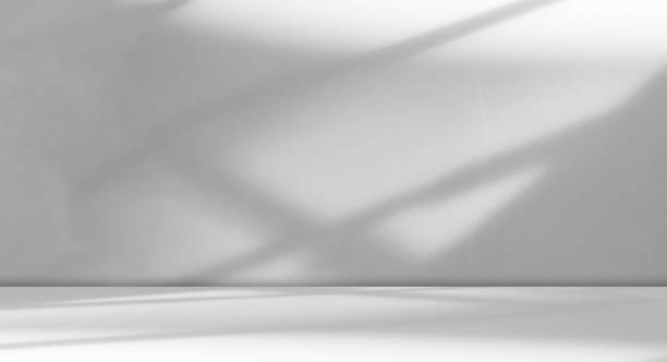 background floor shadow wall kitchen concrete white texture light texture abstract mockup product marble room studio display plant cement 3d bg minimal shelft bar silhouette leaves backdrop vintage. - esparso - fotografias e filmes do acervo