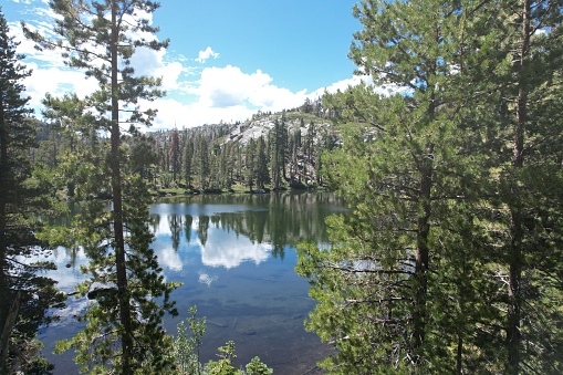 Aerial view of Little bear lake at Eureka Plumas Forest, Lake Basin, California