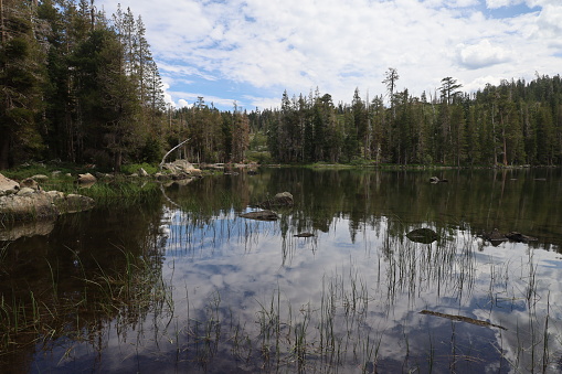 Photo of Big Bear Lake at Eureka Plumas Forest, California