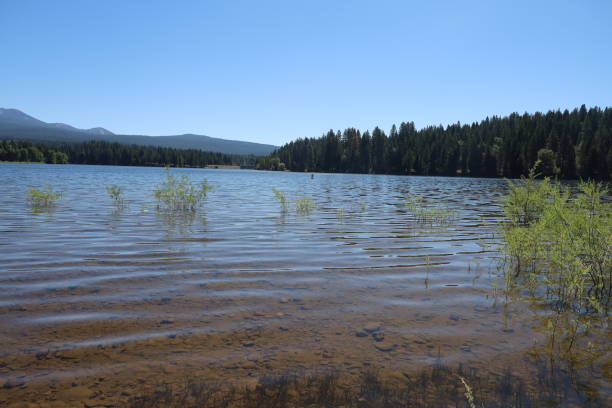 istock Mount Shastha wilderness reflecting in Lake Siskiyou 2077193121