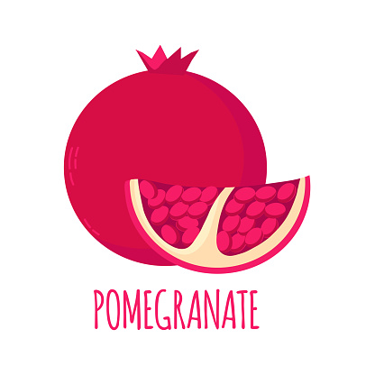 Pomegranate icon clipart avatar logotype isolated vector illustration