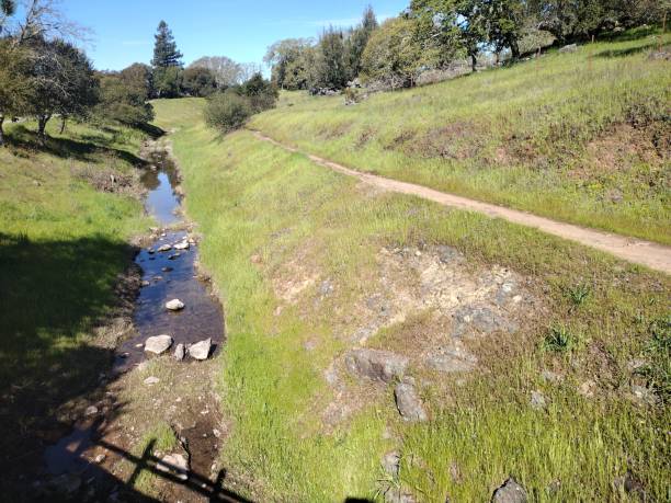 istock Santa rosa parks California 2077212394