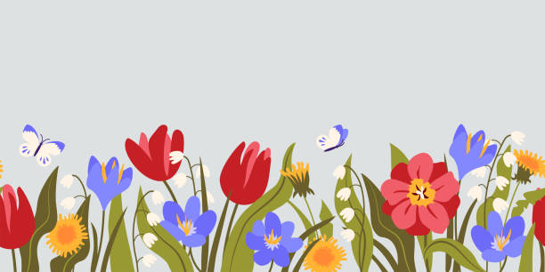 ilustrações, clipart, desenhos animados e ícones de borda horizontal sem costura com flores e folhas coloridas da primavera: tulipas, lírio do vale, dente-de-leão, crocodilo. - canteiro de flores