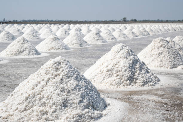 istock Sea salt farming 2077212928