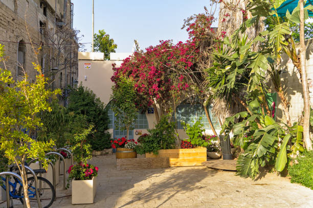 Tel Aviv Israel 04/01/2023 Pleasant yard with flowering trees in a Mediterranean style.
