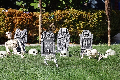 10-29-2023: Alameda, California, USA: Halloweeen decorations outdoors, Skeleton graveyard