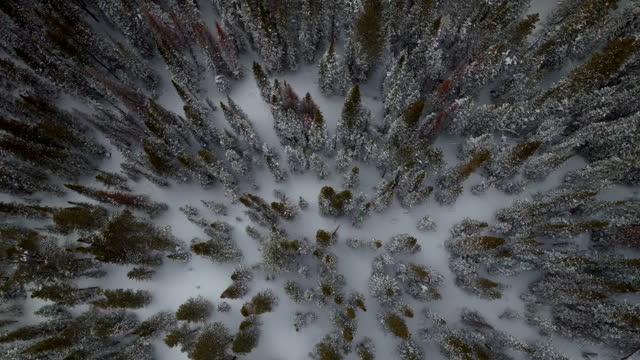 Birdseye Berthoud Pass Winter Park national forest scenic landscape view aerial drone  backcountry ski snowboard Berthod Jones Colorado Rocky Mountains peaks high elevation upward motion