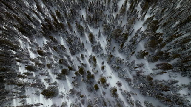 Birdseye sunny Berthoud Pass Winter Park national forest scenic landscape view aerial drone  backcountry ski snowboard Berthod Jones Colorado Rocky Mountains peaks high elevation right motion