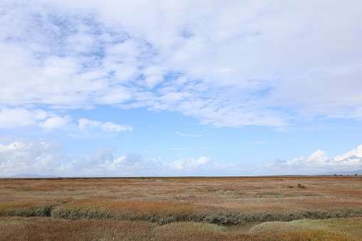 Photo of sloughs and marshes at Hayward shoreline, Don Edwards Wildlife Refuge