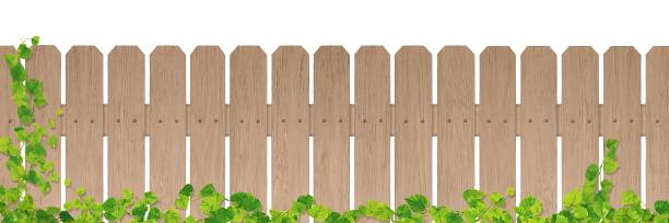 brązowy drewniany płot/bluszcz/a - ivy backgrounds wood fence stock illustrations