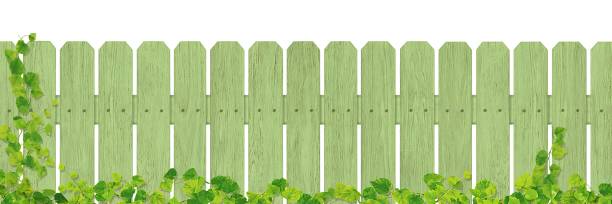 zielony drewniany płot/bluszcz/a - ivy backgrounds wood fence stock illustrations