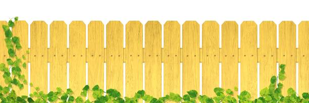 żółty drewniany płot/bluszcz/a - ivy backgrounds wood fence stock illustrations