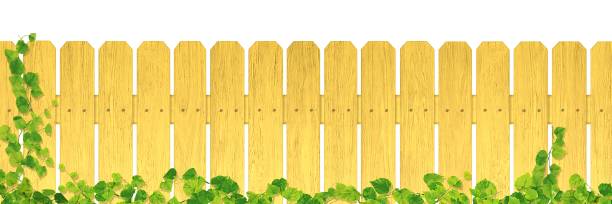 ilustrações de stock, clip art, desenhos animados e ícones de yellow wooden fence/ivy/a - ivy backgrounds wood fence