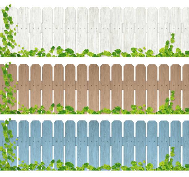 ilustrações de stock, clip art, desenhos animados e ícones de wooden fence set/ivy/a - ivy backgrounds wood fence