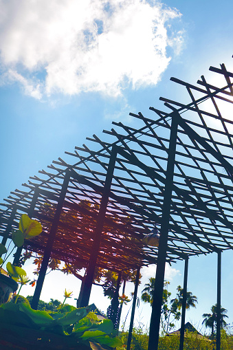 Part of the wooden roof structure on the gazebo on blue sky background. Wooden battens have the sun shining down,  pergola  in the garden, looking up,  terrace and morning relaxing