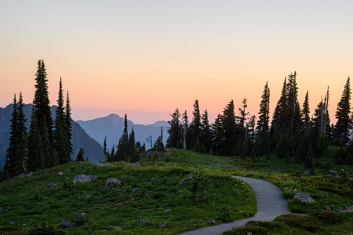 Paradise at sunset. Mount Rainier National Park. Washington State. USA.