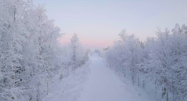 Aerial view of a road in the middle of frosty forest, polar night in Lapland
