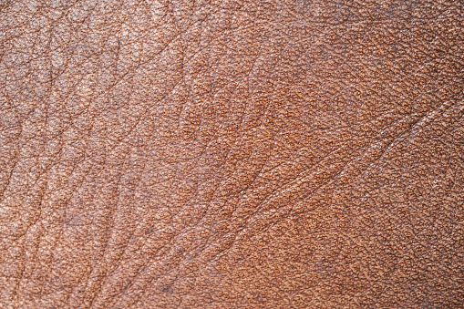 Leather is made from the hides of animals, treated and finished to create a durable product suitable for a huge range of uses.