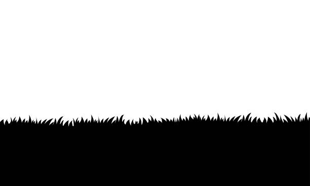 illustrations, cliparts, dessins animés et icônes de bordure d’herbe noire vectorielle et fond blanc isolé - spring border