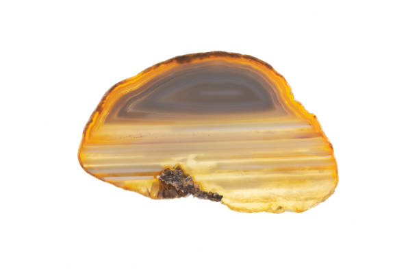 istock specimen of polished agate slice isolated on white background 2077476220
