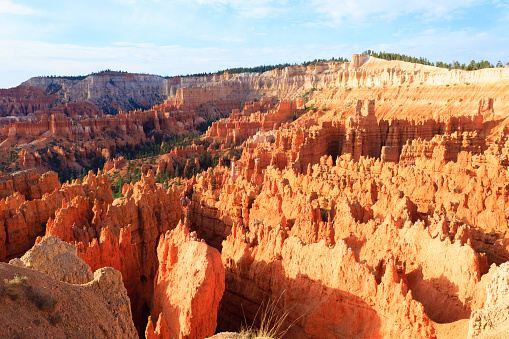 A scenic view of Bryce Canyon National Park's stunning canyons in Utah