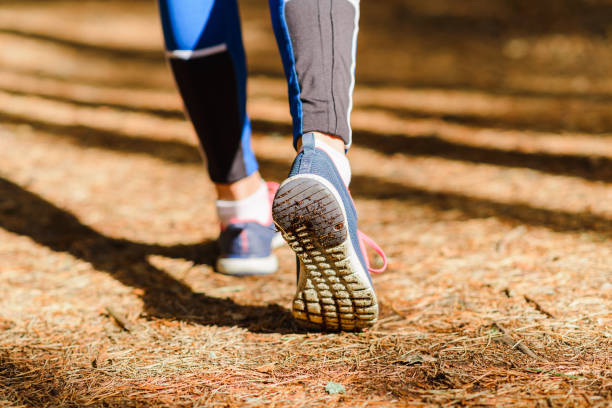 istock Female runner jogging outdoors through a summer forest trail.Close up.Copy space. 2077557393