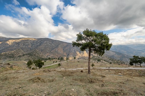 Trees, clouds and landscapes around Karaman