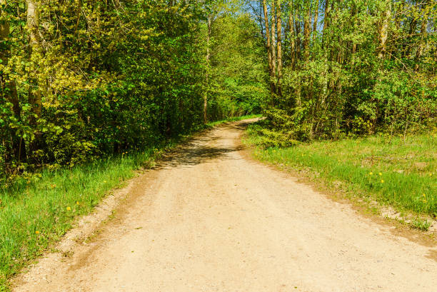 istock Empty Sandy country road near the forest,fluffy clouds,summer evening sunset landscape. 2077574831