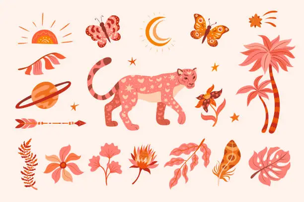 Collezione di elementi boho con leopardo e piante Collezione di elementi boho con leopardo e piante