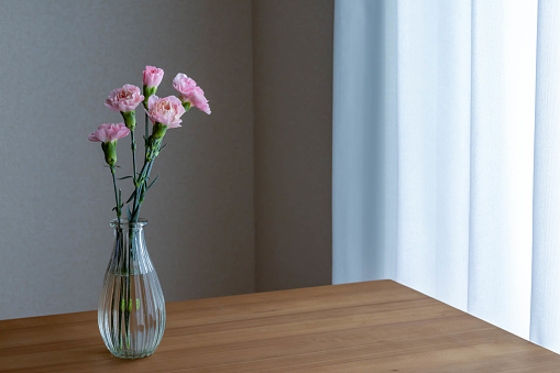 pink carnations decorated indoors