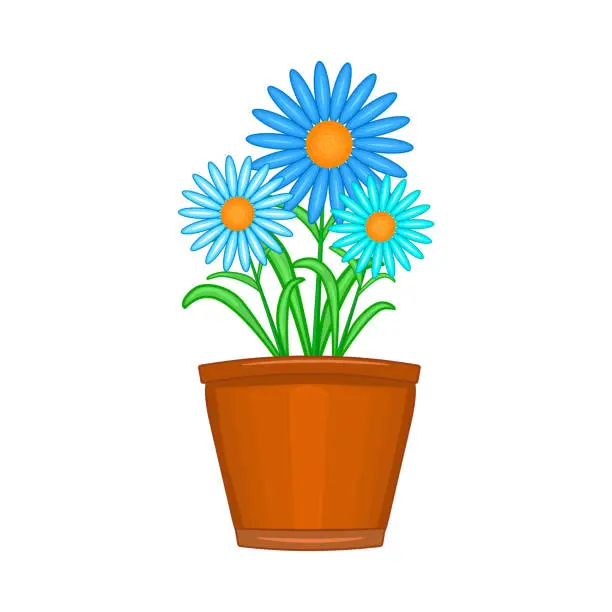 Vector illustration of Flowers in pot isolated on white background. Terracotta flowerpot with daisy.