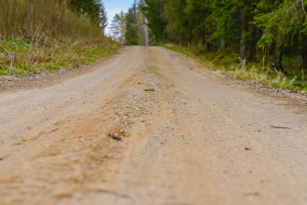 istock Empty Sandy country road near the forest,fluffy clouds,summer evening landscape. 2077598064
